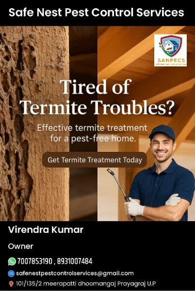 दीमक का उपचार (Termite Treatment)