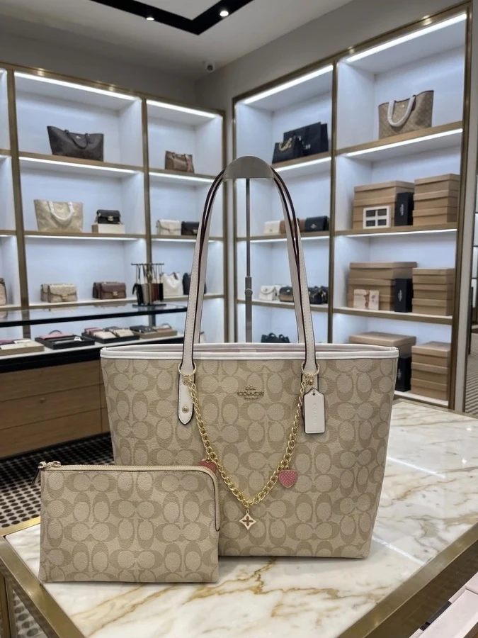Coach bag